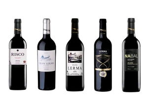 葡萄酒進(jìn)口全流程解析 從國(guó)外貨源到國(guó)內(nèi)貿(mào)易的一站式服務(wù)指南